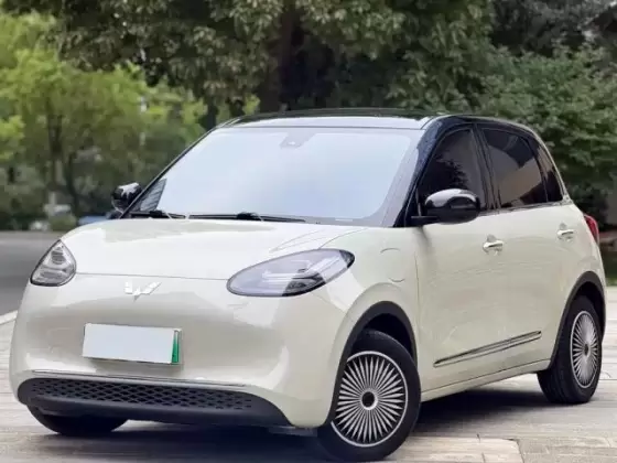 Wuling Bingo