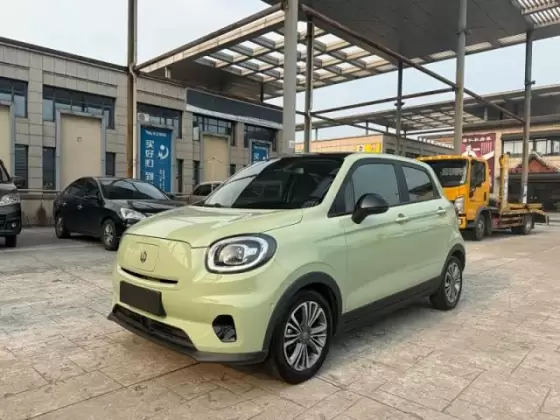 Leapmotor T03