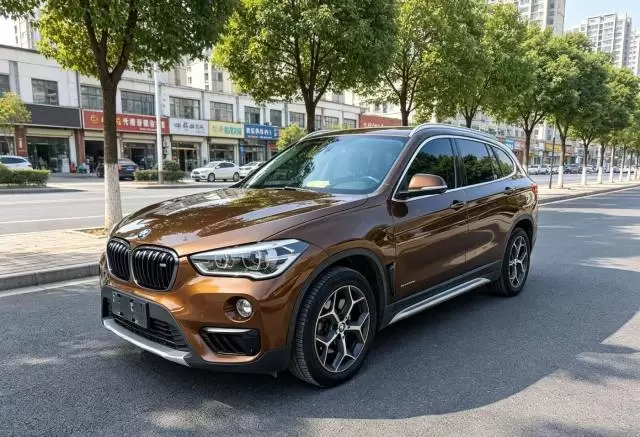 BMW 2018 X1 sDrive20Li 2.0T Leading Edition
