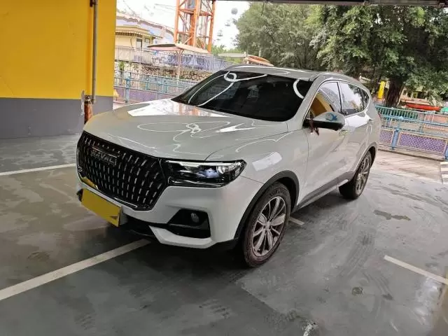 Haval 2023 H6 1.5T National Trend Edition Champion Version